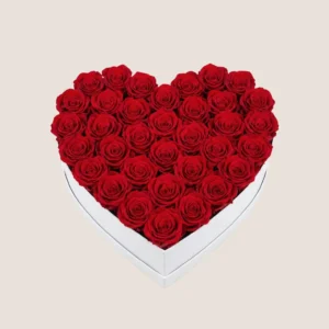 Red Rose Heart