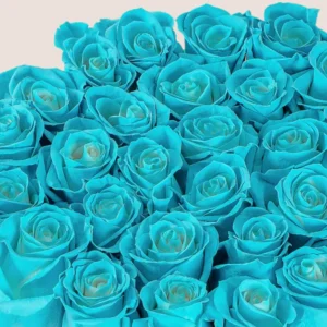 Blue rose box