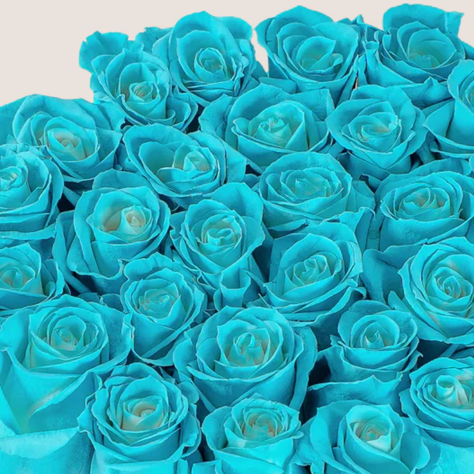 Blue rose box