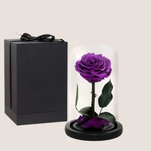 Purple Forever Rose