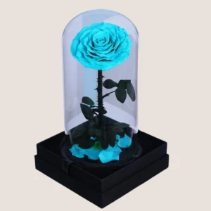 Sky Blue Forever Rose