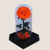 orange Forever Rose