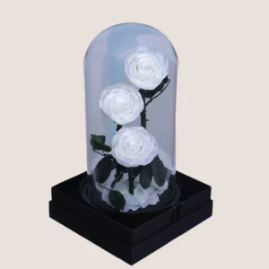Triple White Forever Rose