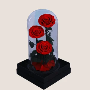 3 Red forever rose