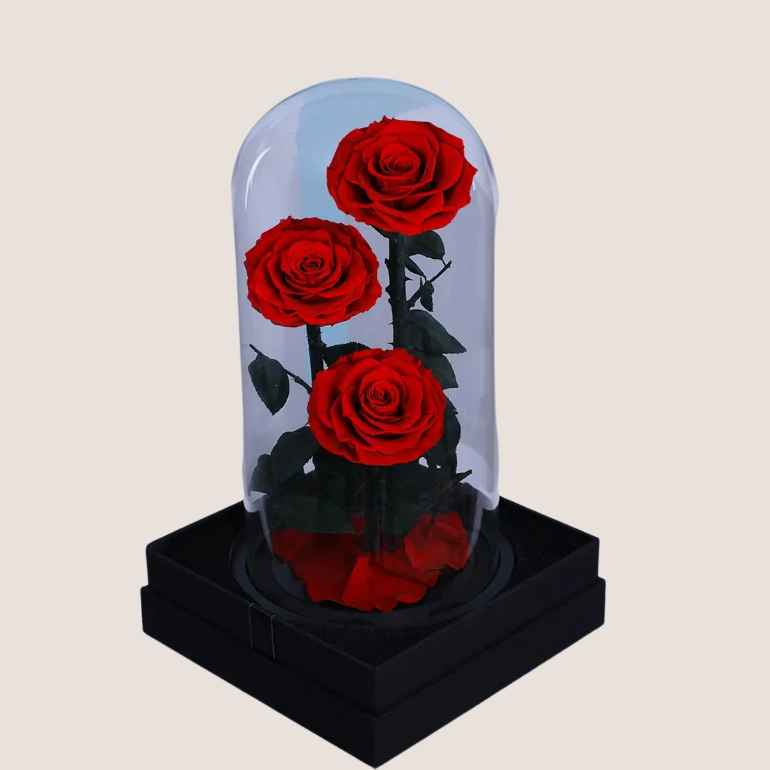 3 Red forever rose