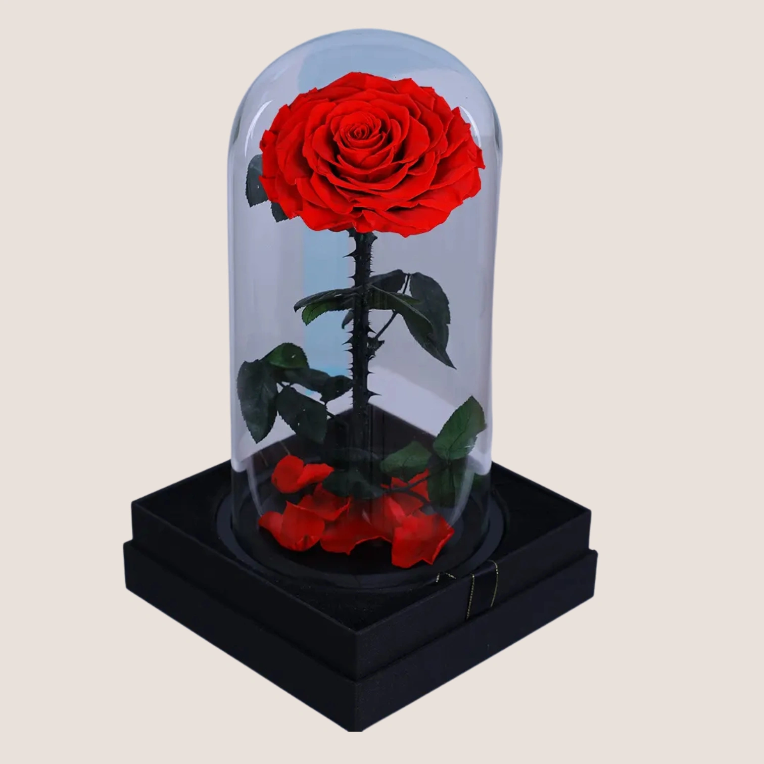 Red Forever Rose