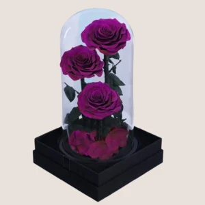 Triple Purple Forever Rose