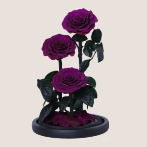 Triple Purple Forever Rose