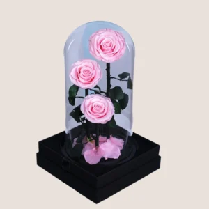 Triple Pink Forever Rose