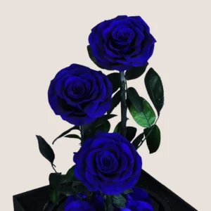 Triple Blue Forever Rose