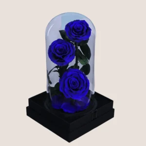 Triple Blue Forever Rose
