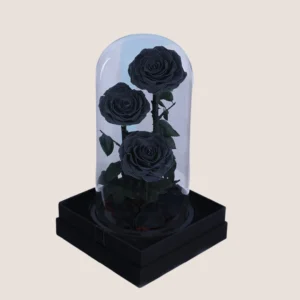 Triple Black Forever Rose