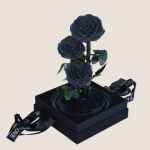 Triple Black Forever Rose
