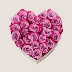 Purple Rose Heart