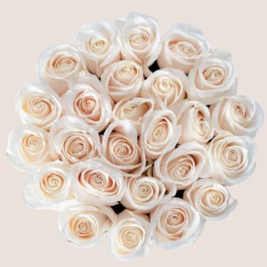 white rose box