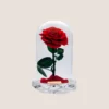 Crystal Infinity Single Rose RED