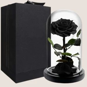 Black Forever Rose