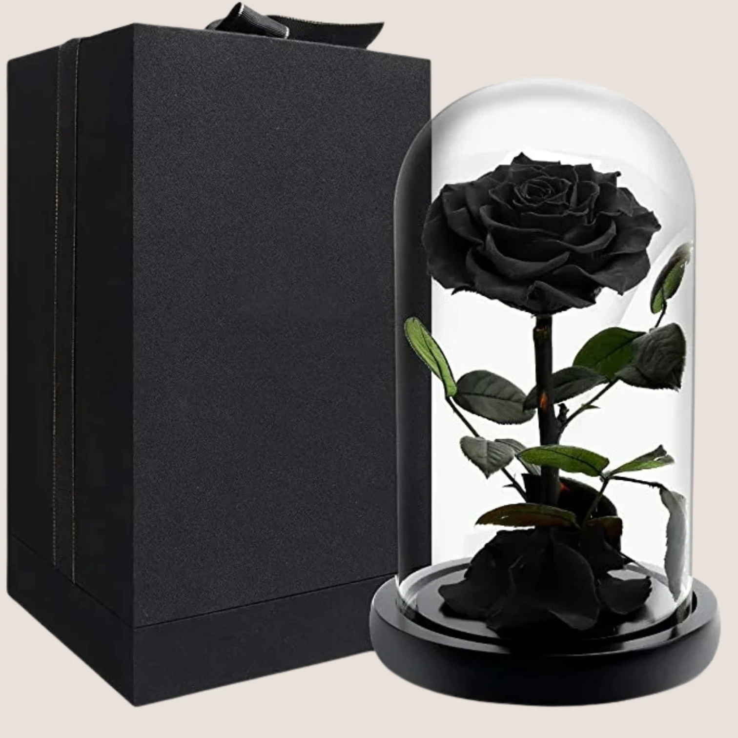 Black Forever Rose