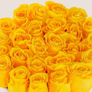 Yellow rose box