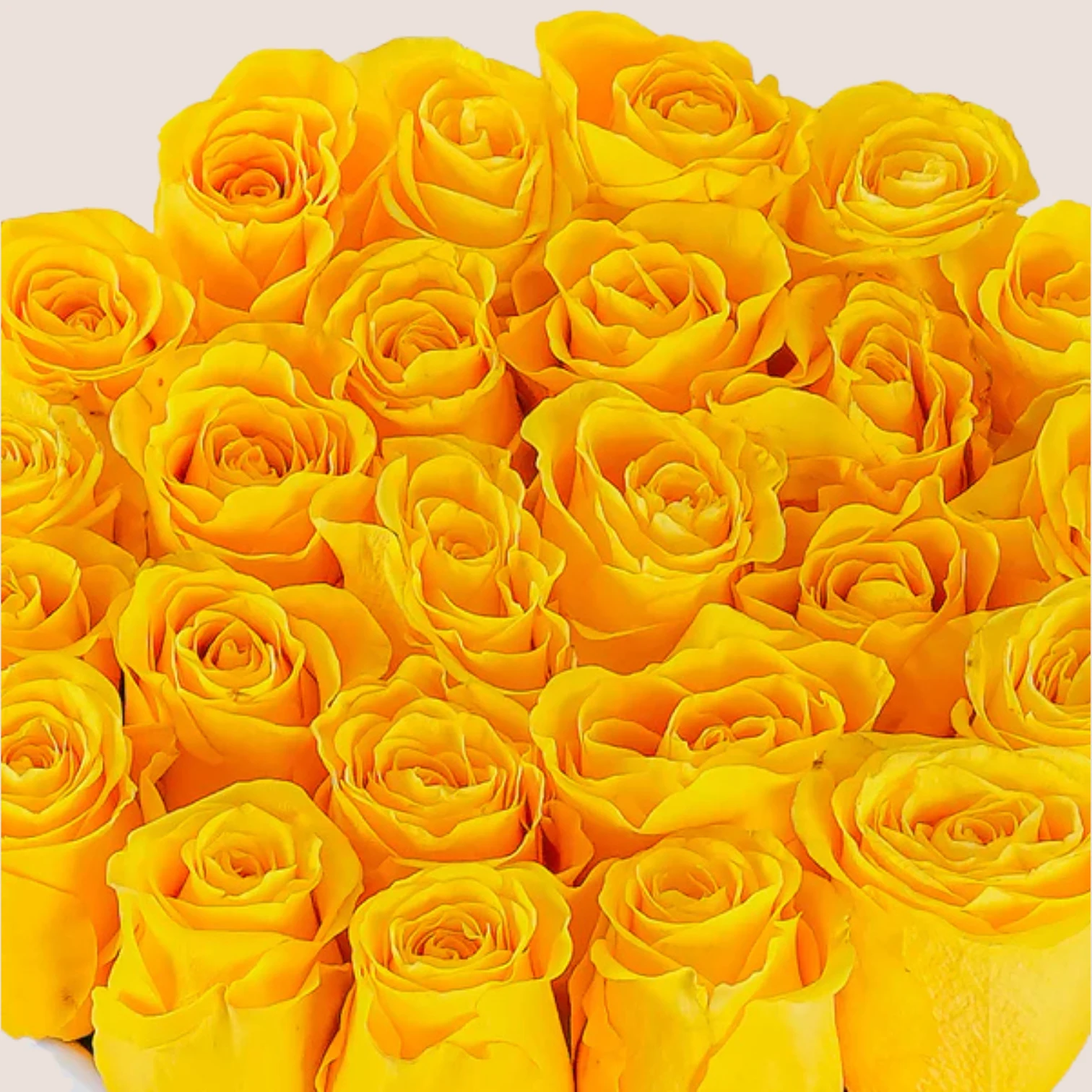 Yellow rose box