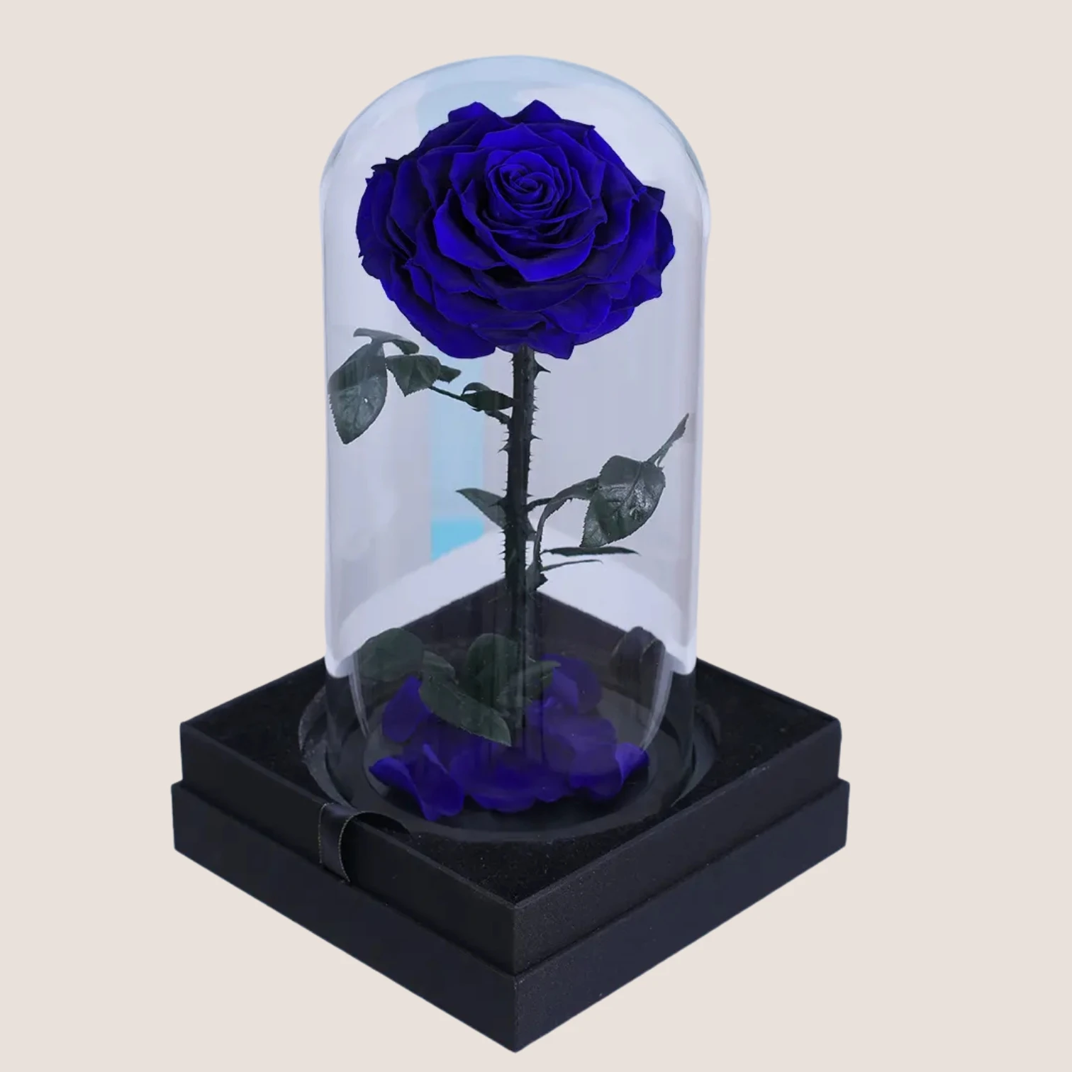Blue Forever Rose