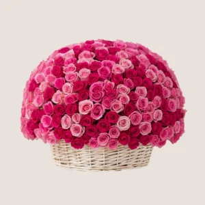 Blush Roses Basket