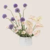 Anthurium & Gerbera Elegance Box