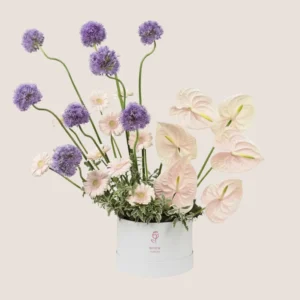 Anthurium & Gerbera Elegance Box