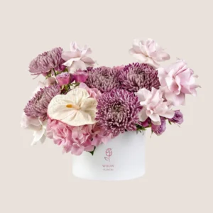 Mauve Moonlight Cloud