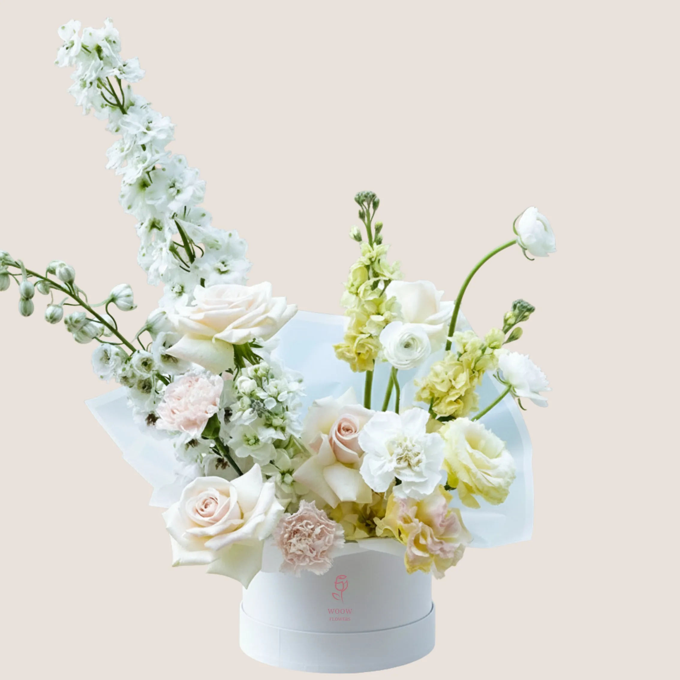 Pure White Symphony