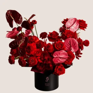 Velvet Rouge – A Bold Statement of Luxury